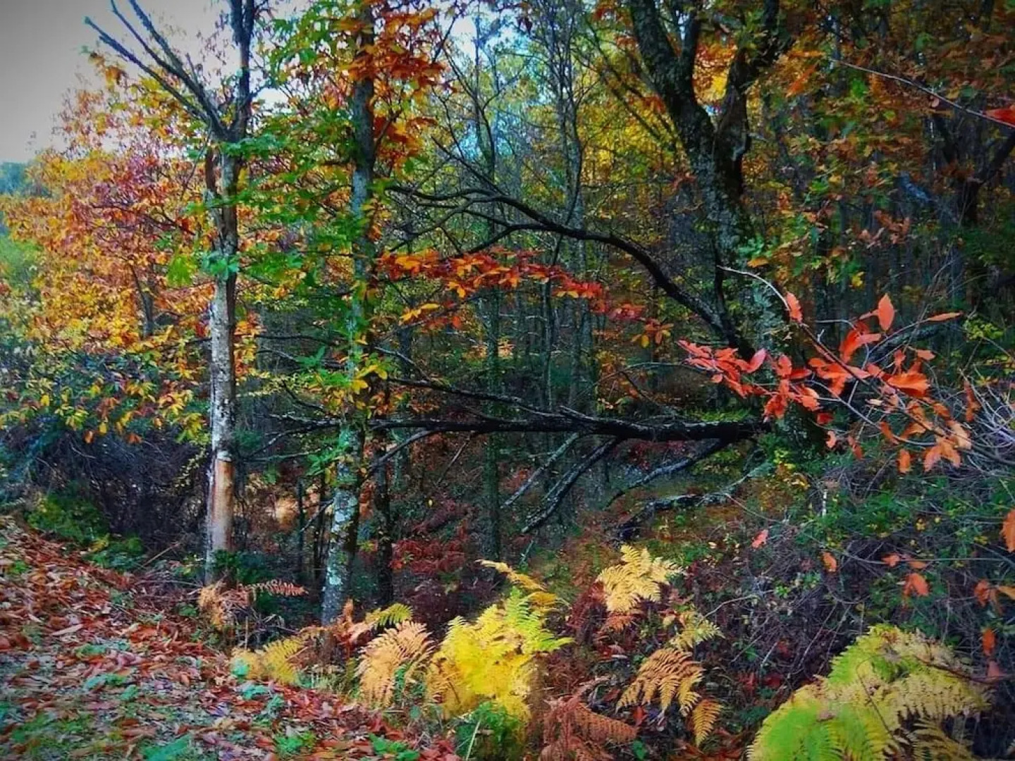 Apartamento Turístico Navalinda