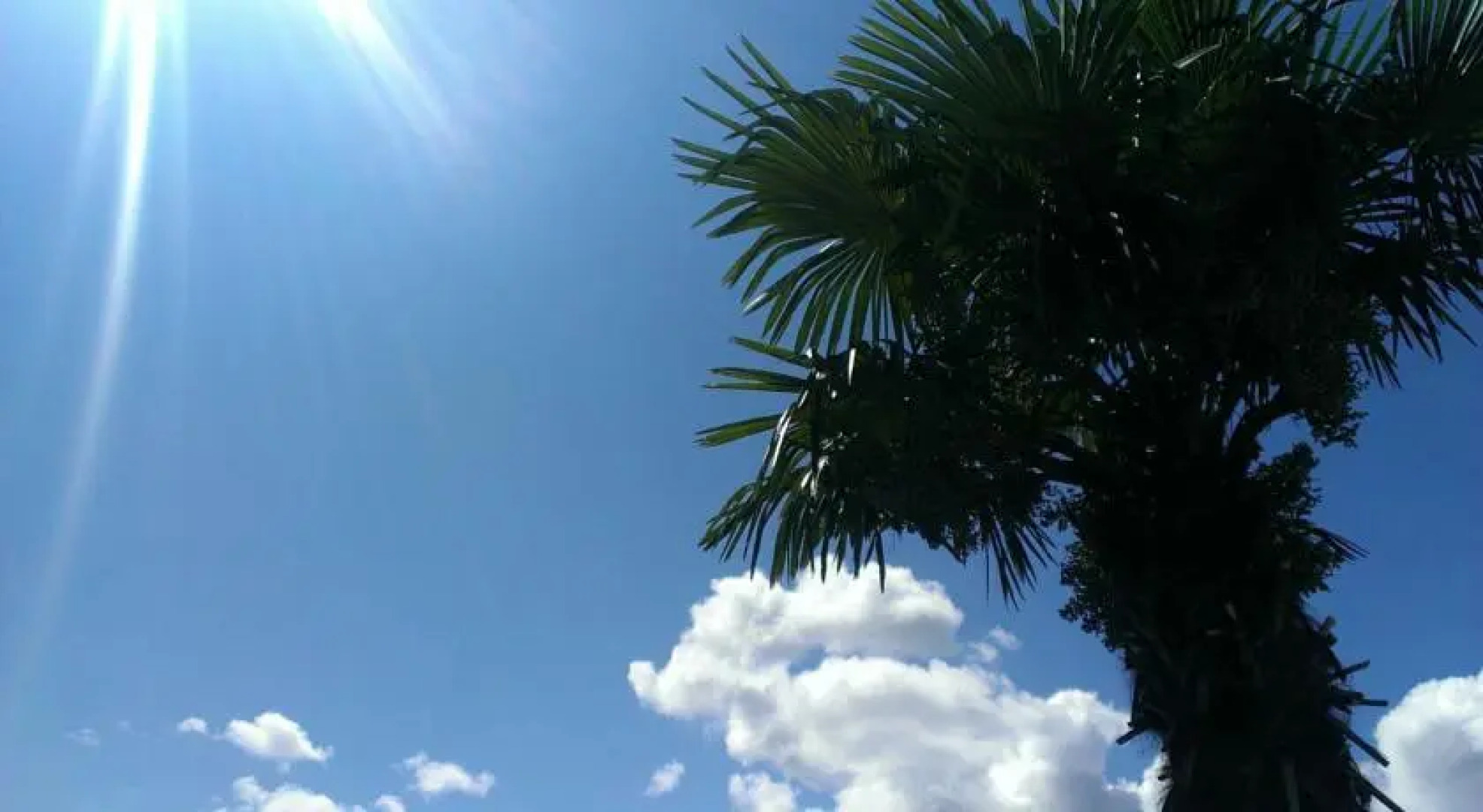 Apartments Spess Opatija