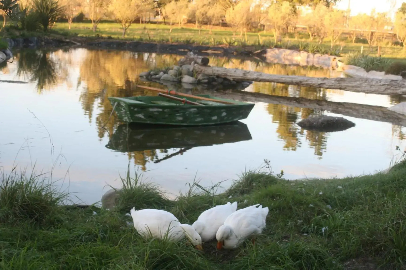 The Peppertree Luxury Accommodation