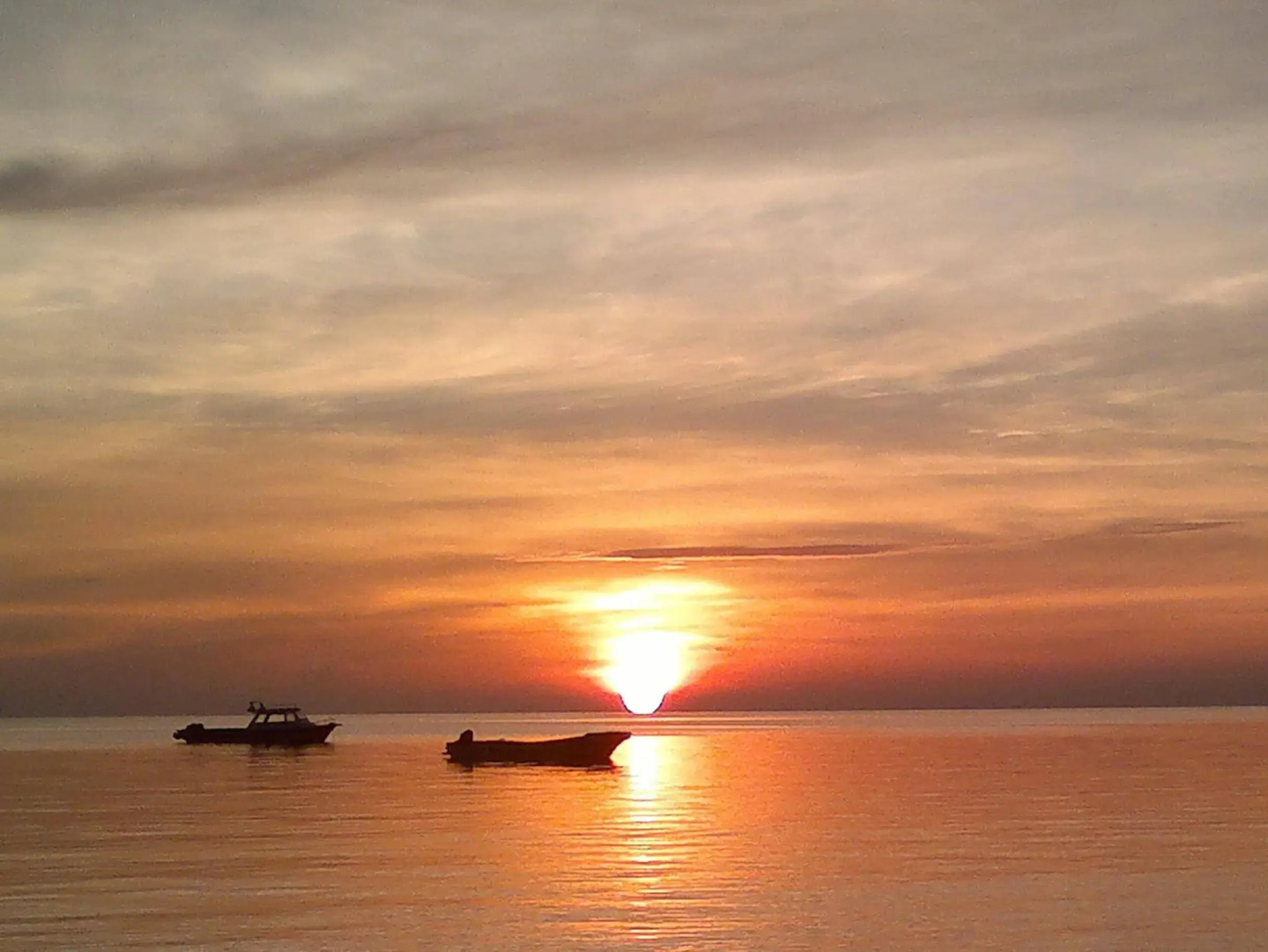 The Lazy Dog Bed & Breakfast