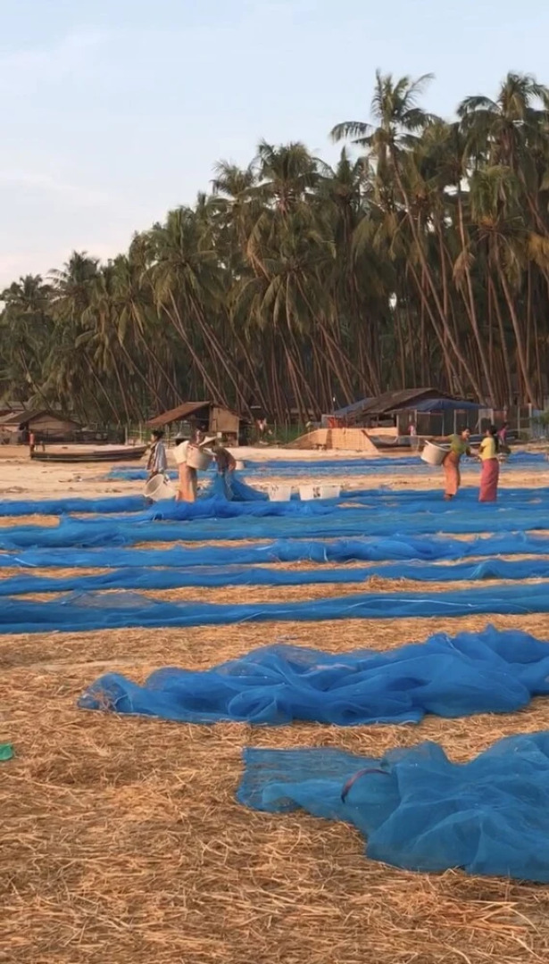 Sea Breeze Lodge Ngapali