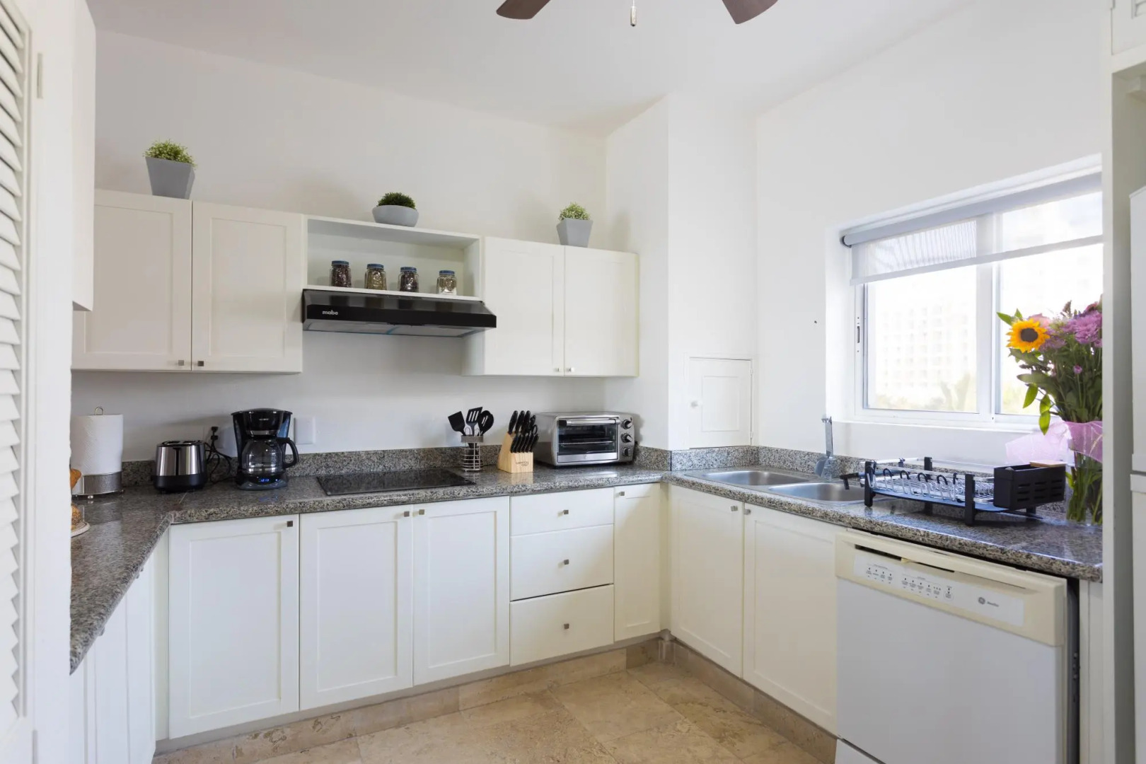 Flamingos Conchas 502