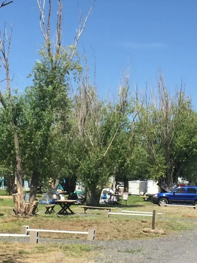 Sunny Springs Resort & Campground