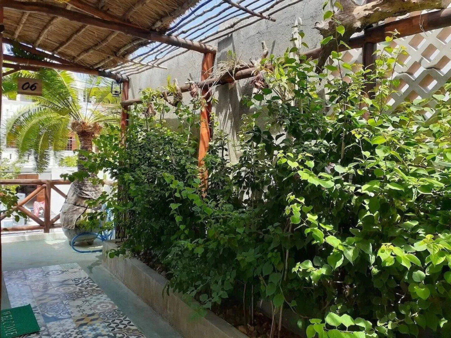 Long Homestay Phu Yen