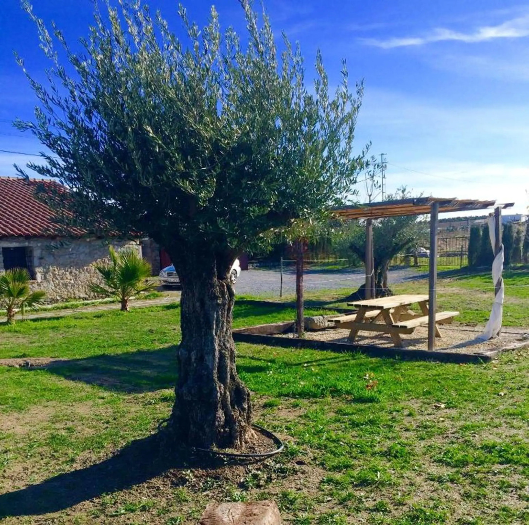 4 bedrooms house with shared pool enclosed garden and wifi at Alcaracejos