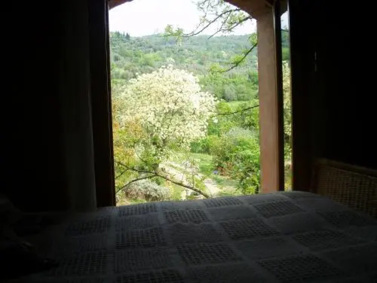 Fattoria Il Leccio Independent Apartment on Florence Hills