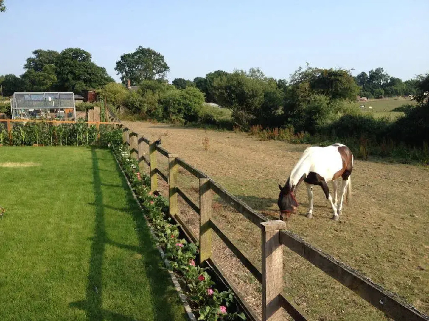 Cripple Creek Bed And Breakfast