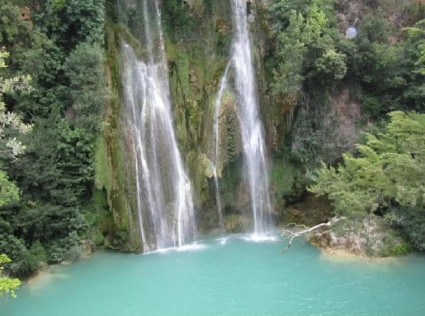 la Mésange Bleue du VERDON