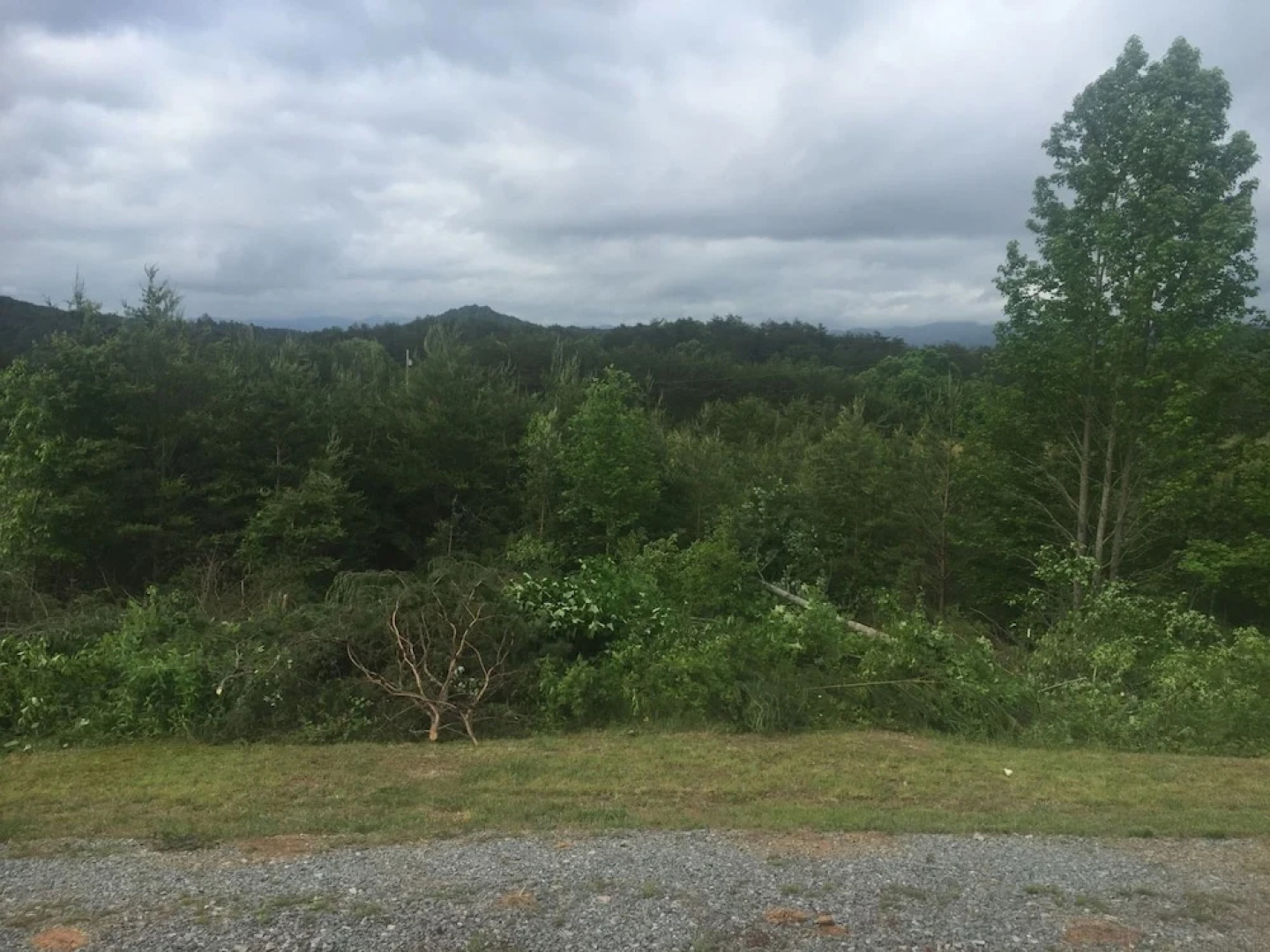 Eula Mae- Ocoee River Area