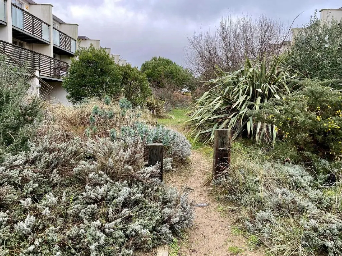 The Beach House