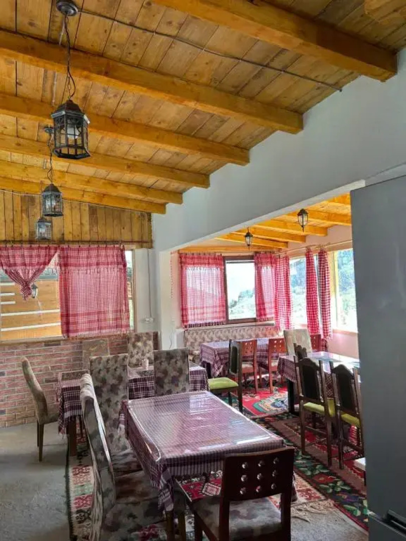 NINO Natural wood house 1