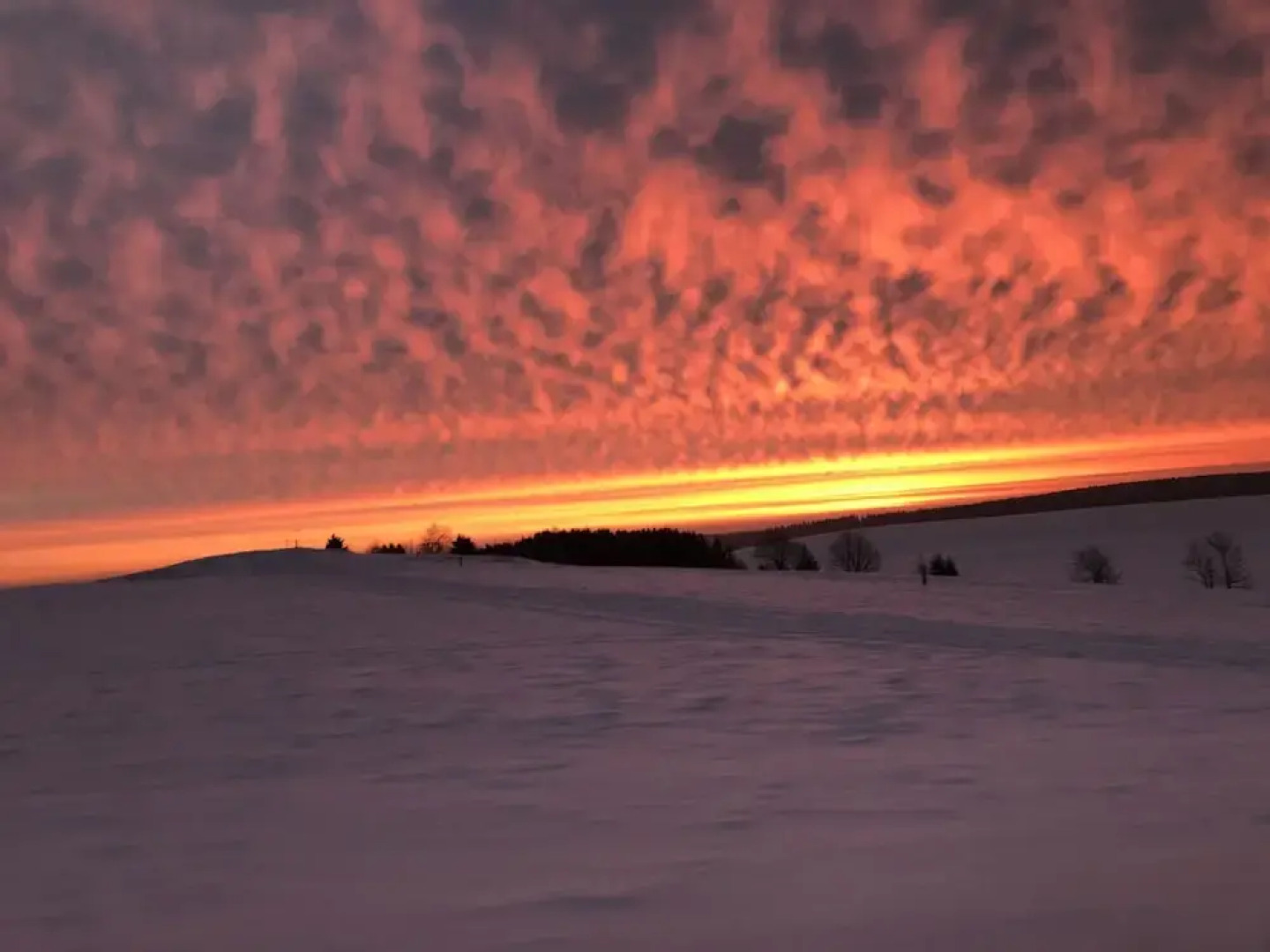 Gasthof Peterhänsel