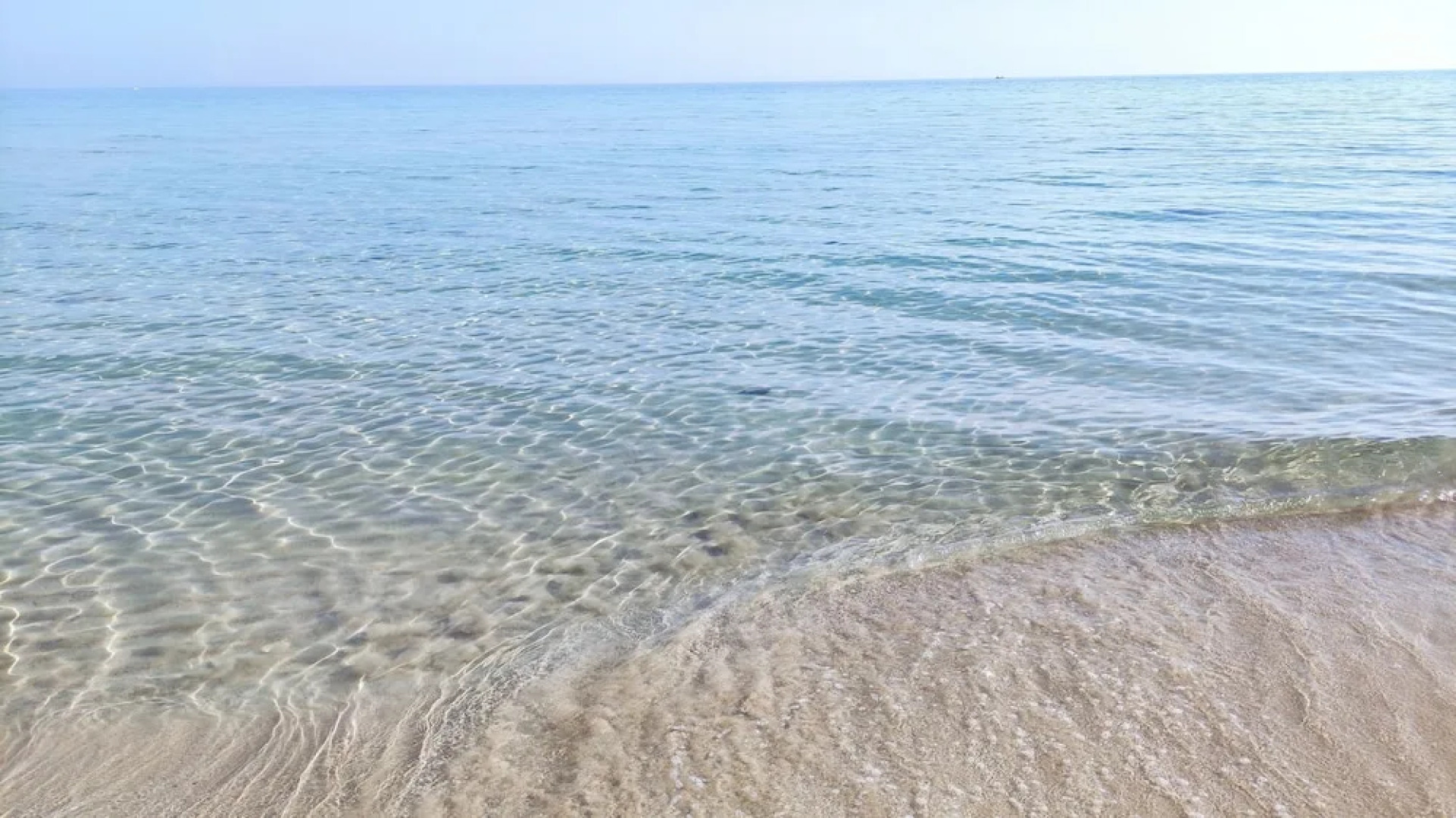 Picchio Hotel Pescoluse