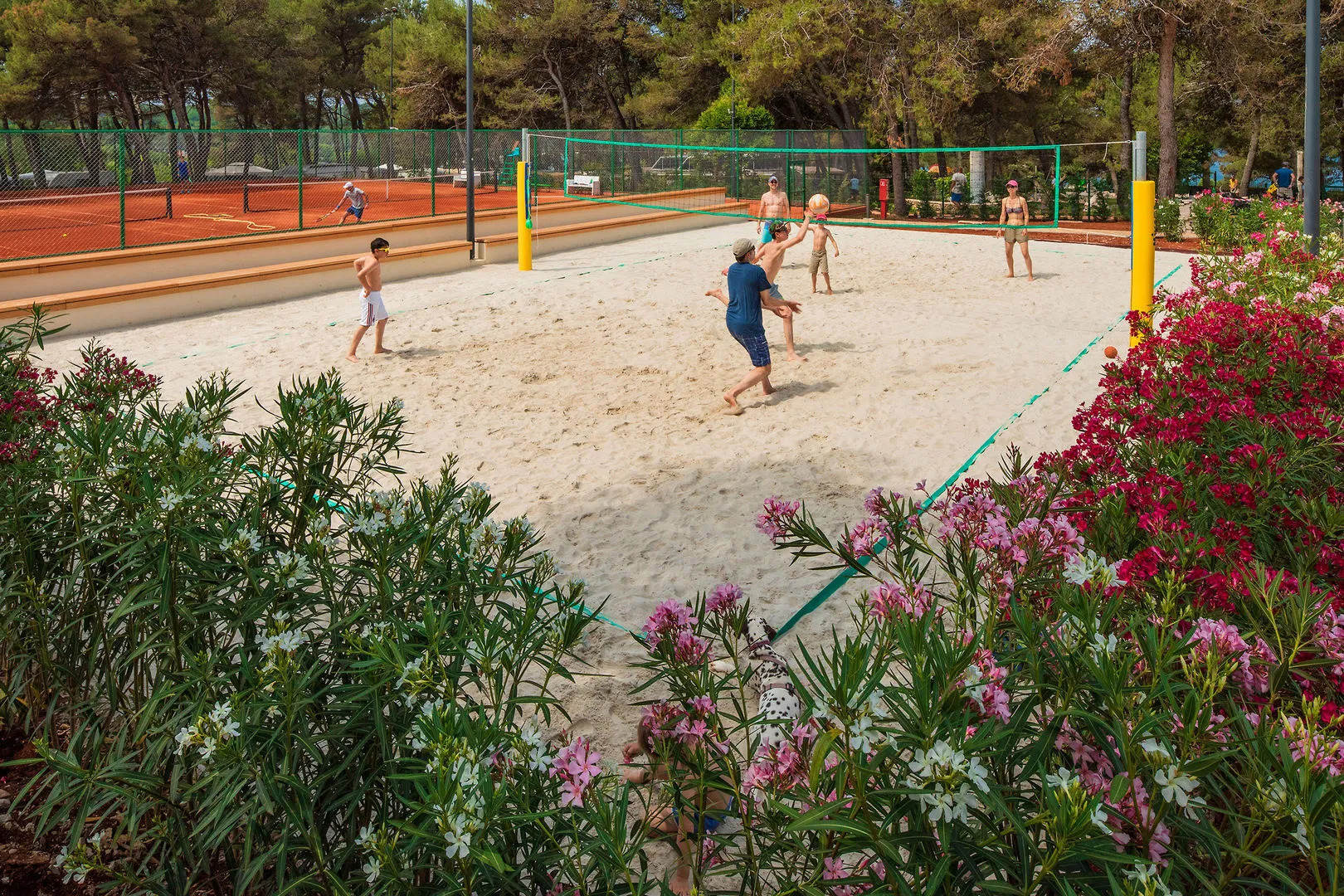 Valamar Camping Lanterna