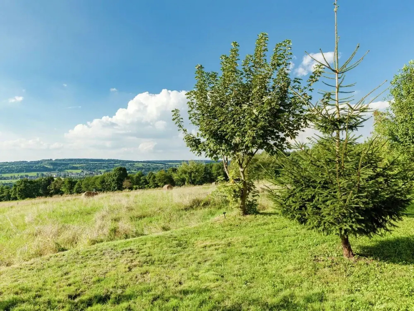 Welcoming Apartment in Betzenrod near Lake