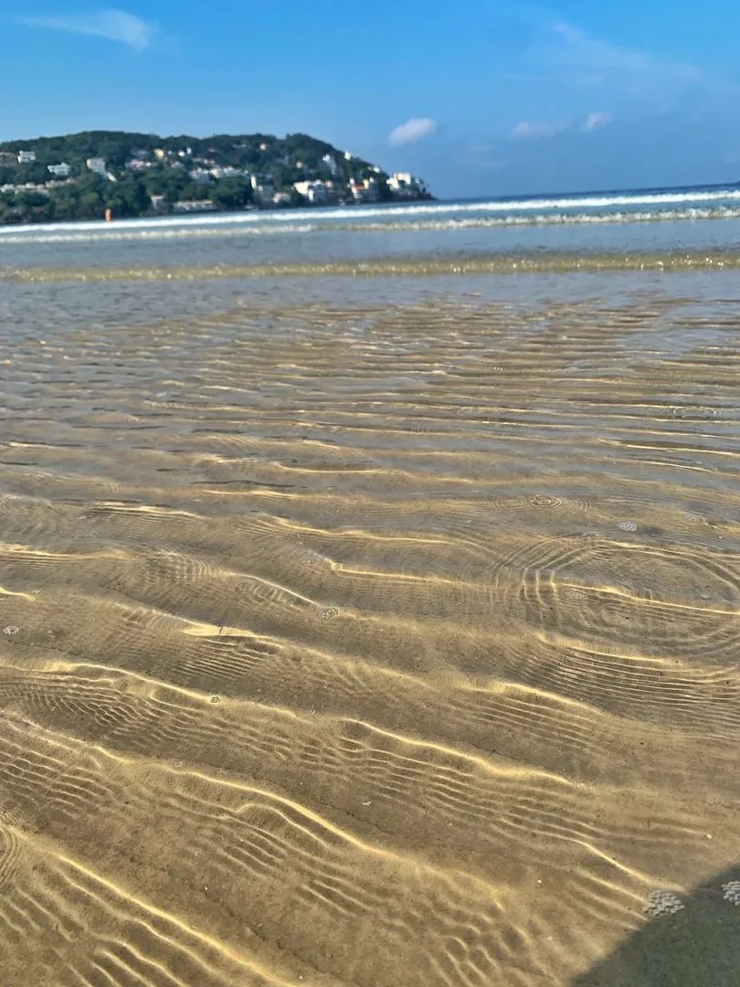 Hotel Palmar