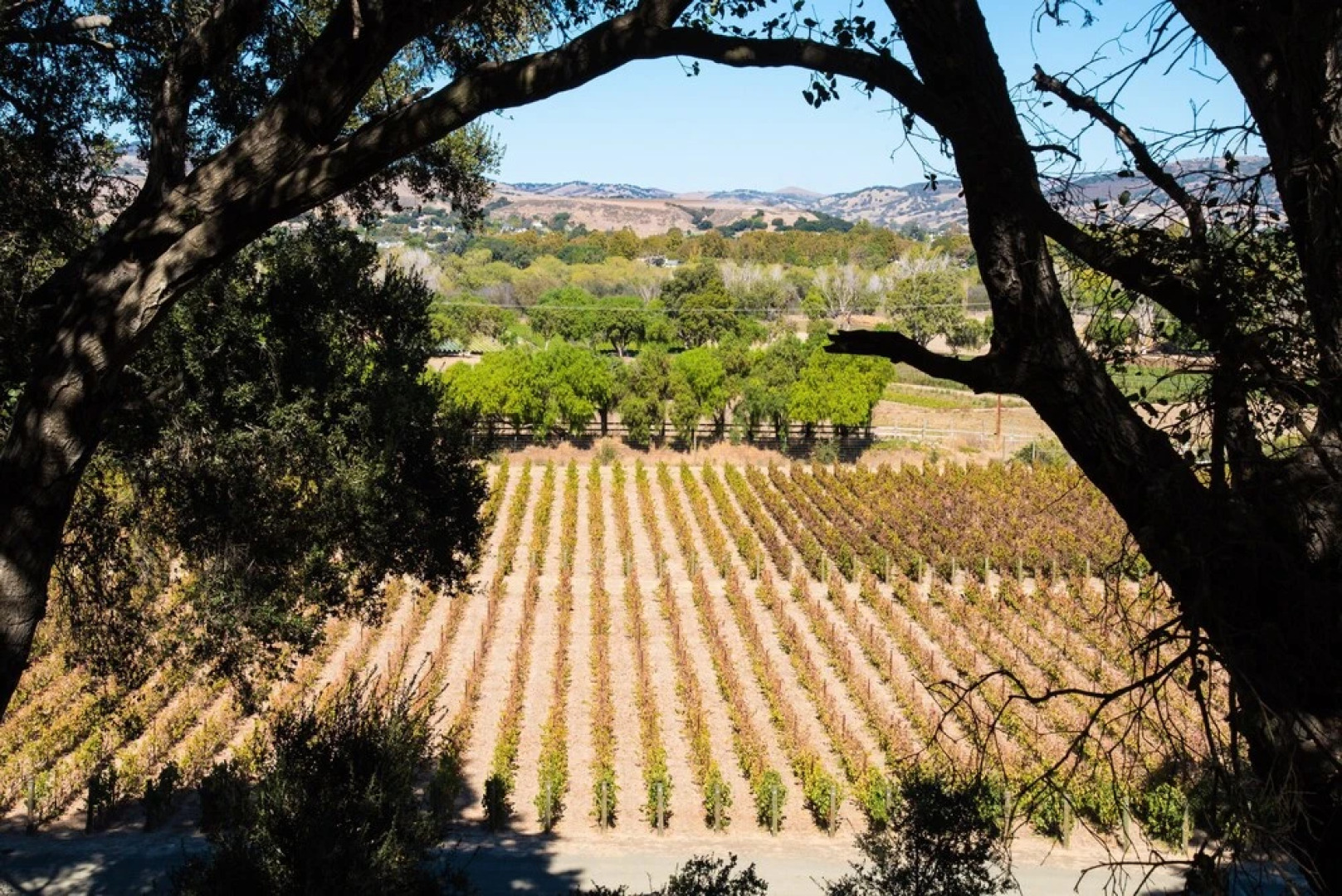 9400 Santa Rosa Road Home