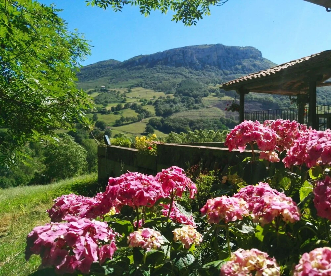 La Manzanera - Finca Artienza