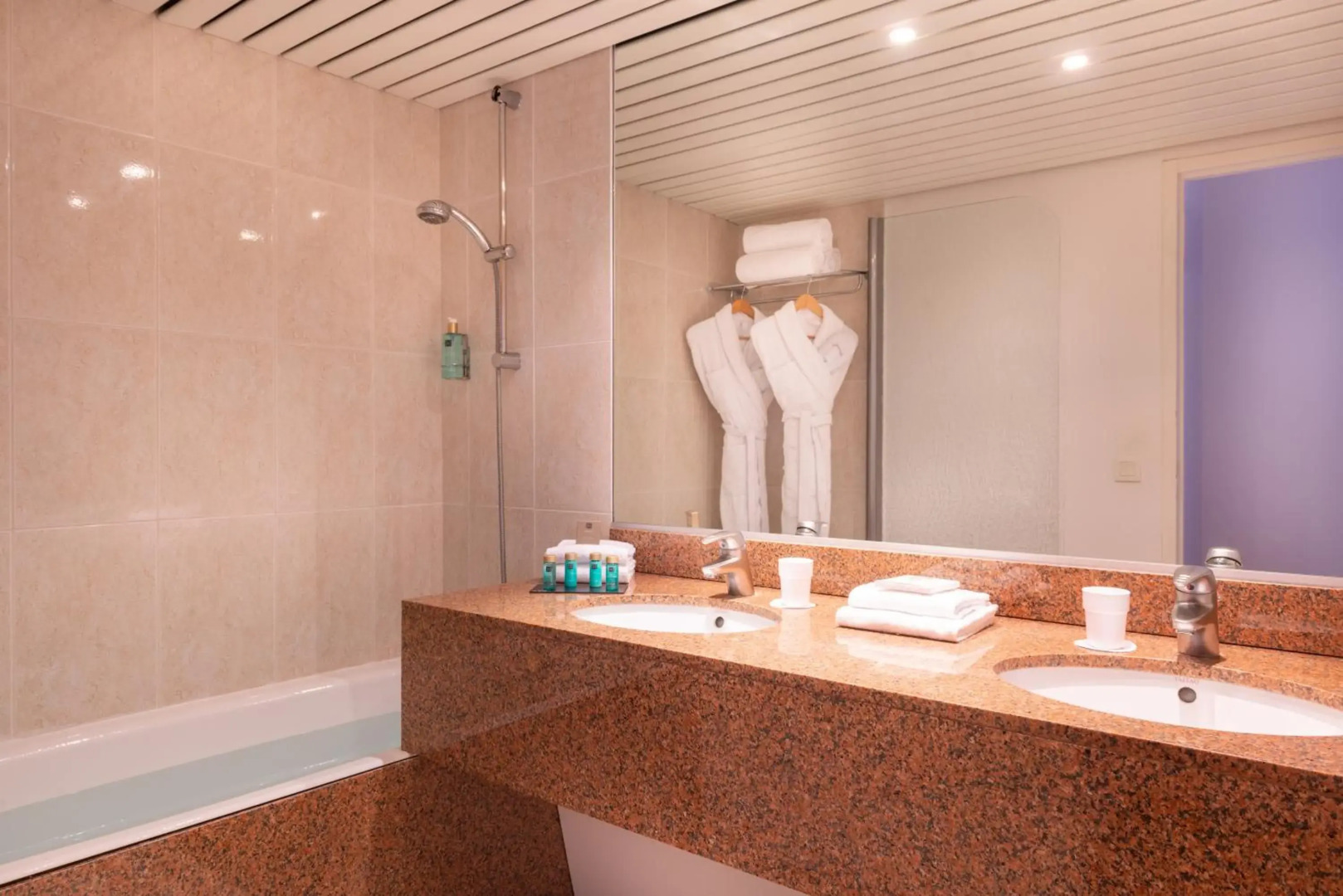 Le M & Spa Bordeaux Aéroport by Hôtels & Préférence