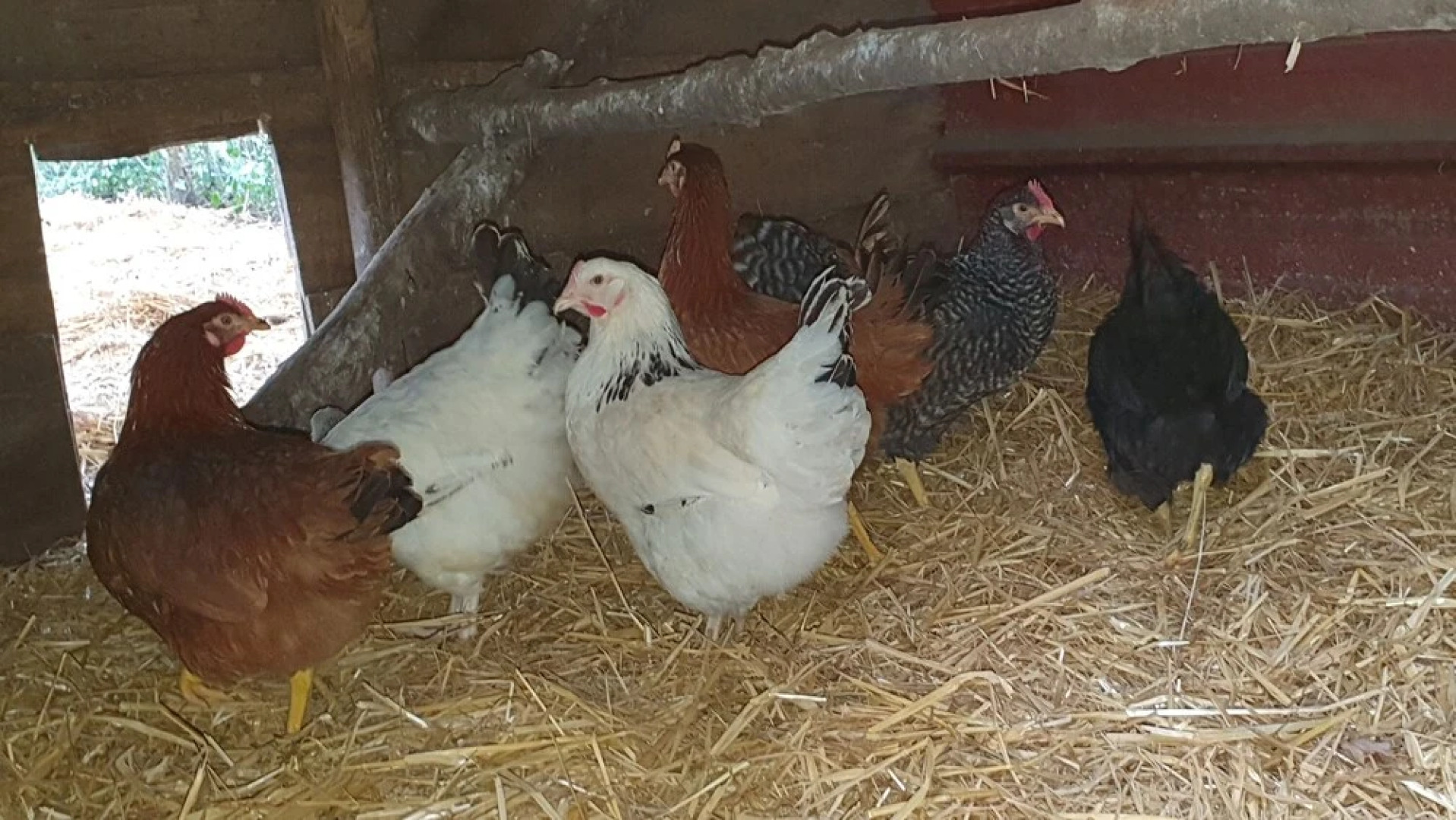 La Fermette des Ramolleux