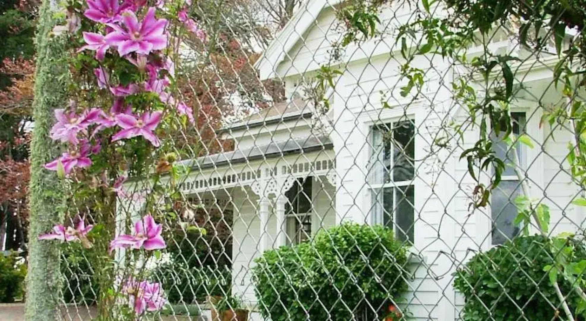 Pedfield Country House B&B