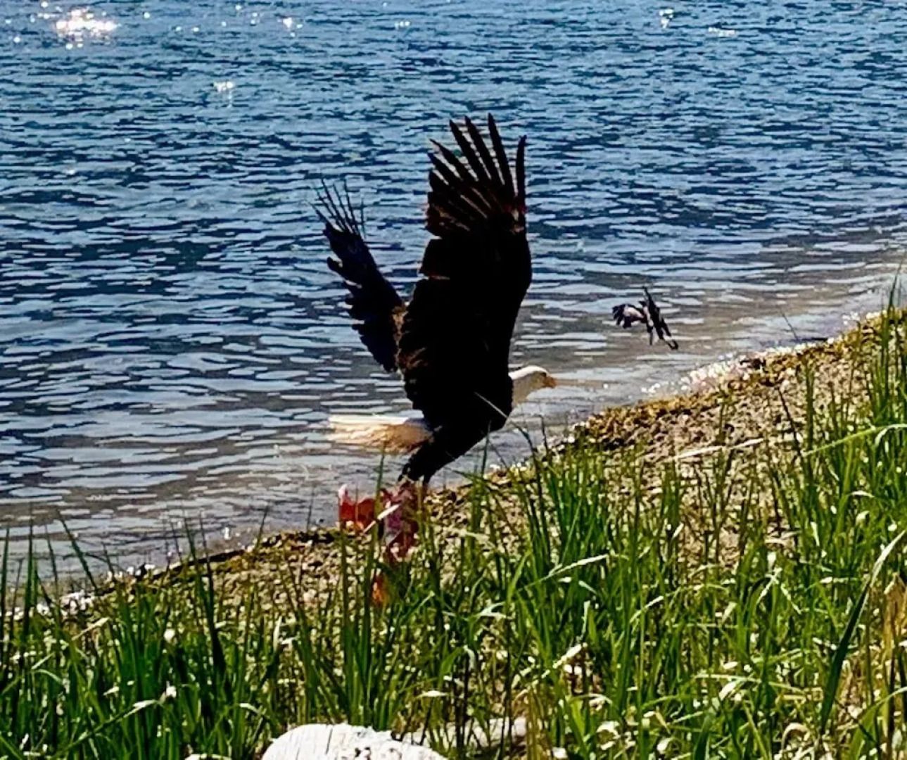 Frigon Suite - Waterfront