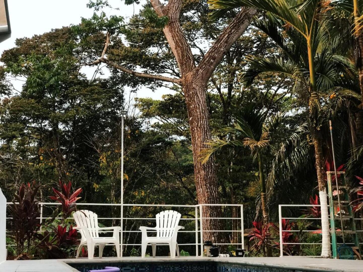 Ballena Dorada Hotel Boutique