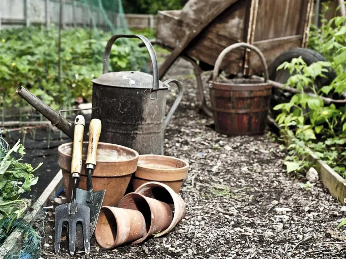 The Marsham Arms Inn