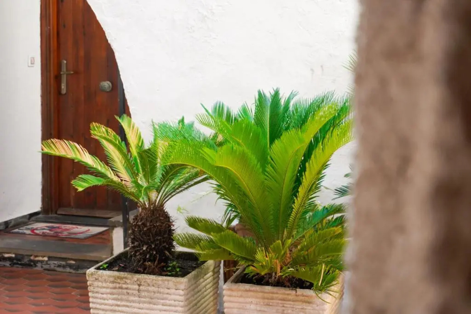 Monolocale a 50 metri dal mare