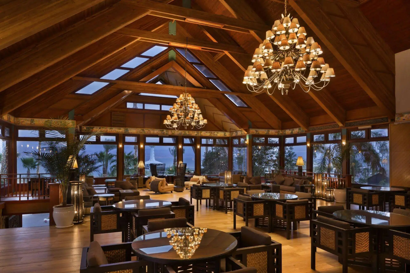 Orchid Eilat