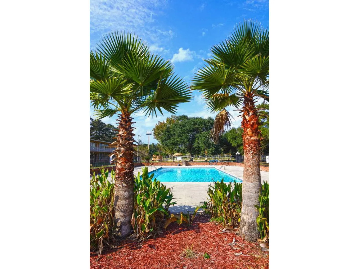 Americas Best Value Inn