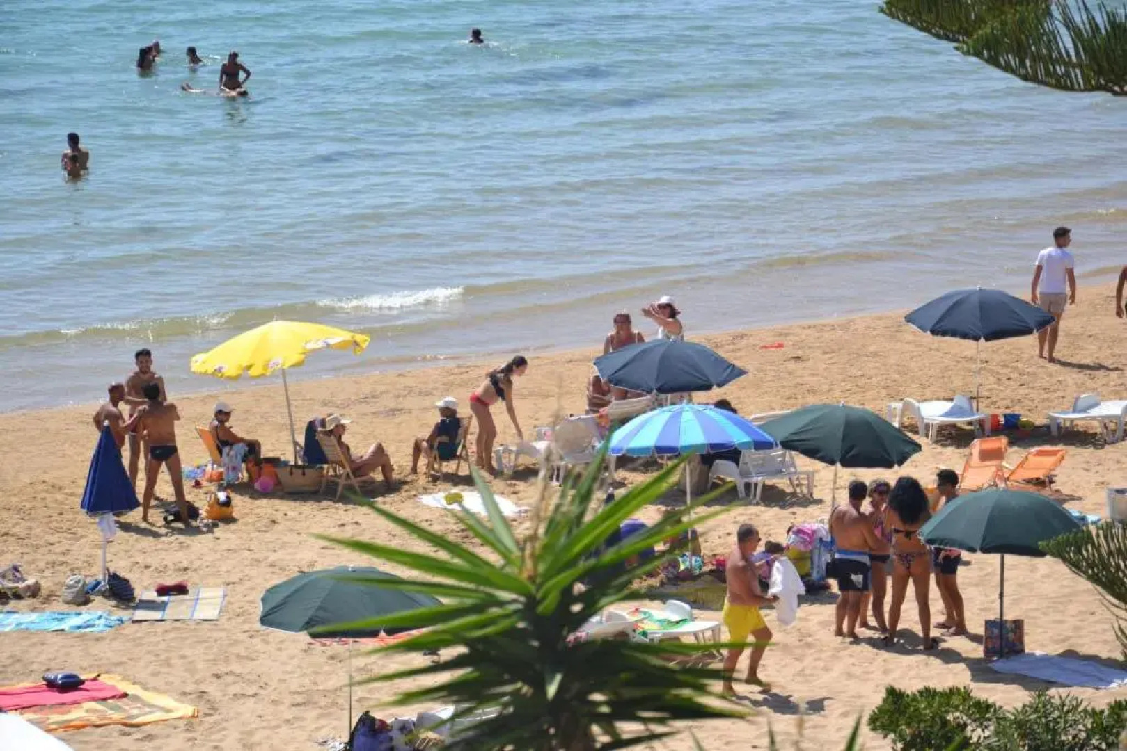 Villa Venere Apartment