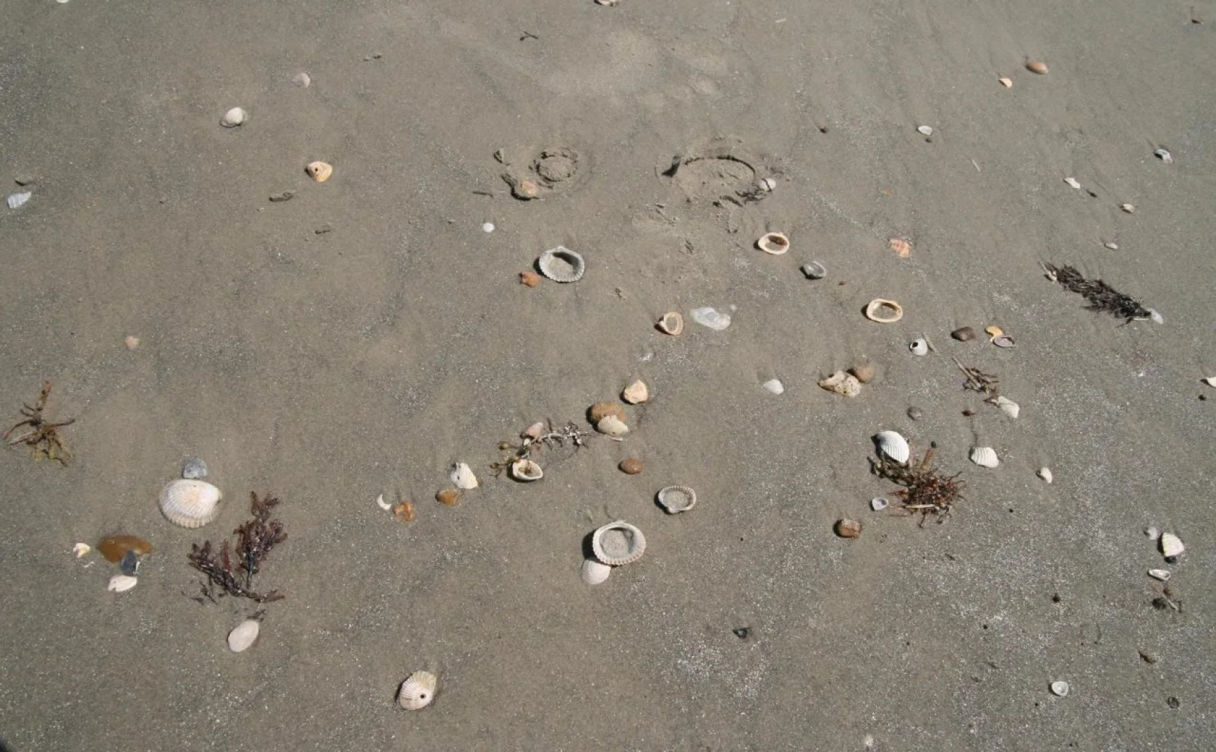 Hampton Inn & Suites Galveston