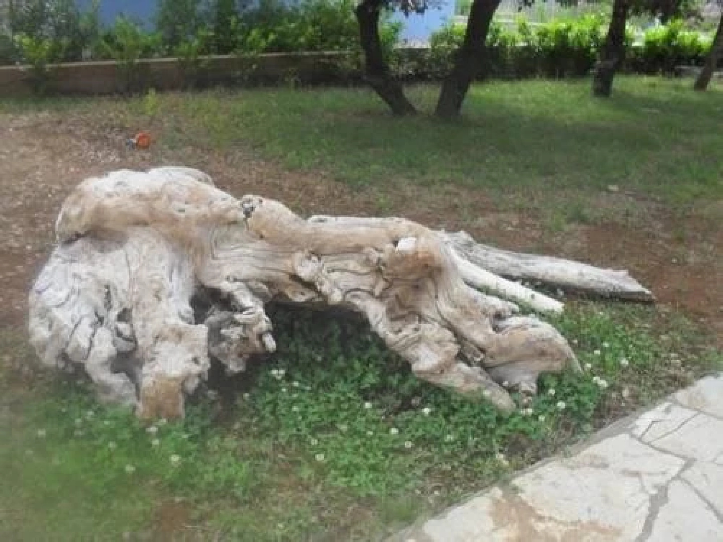 Villa Mala Iva