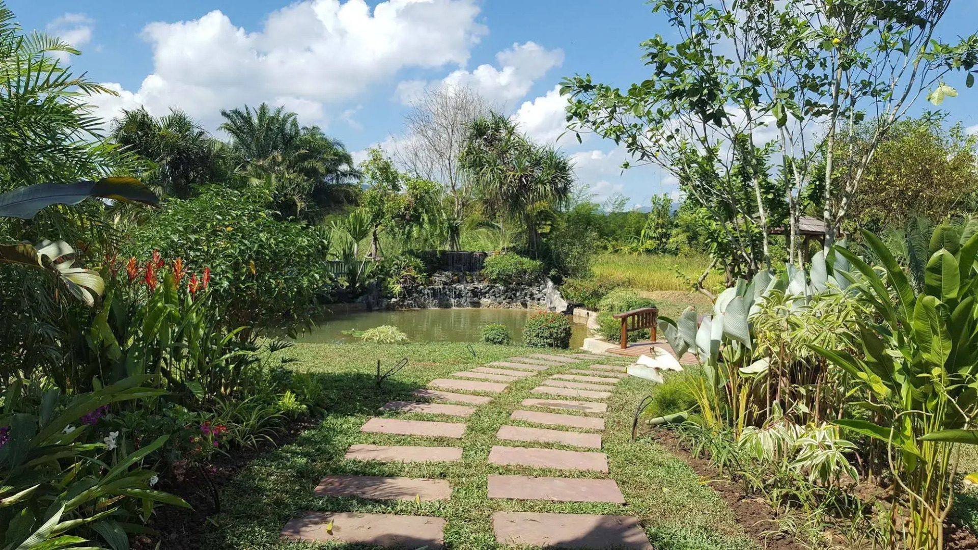 Rice and Zen Boutique Resort