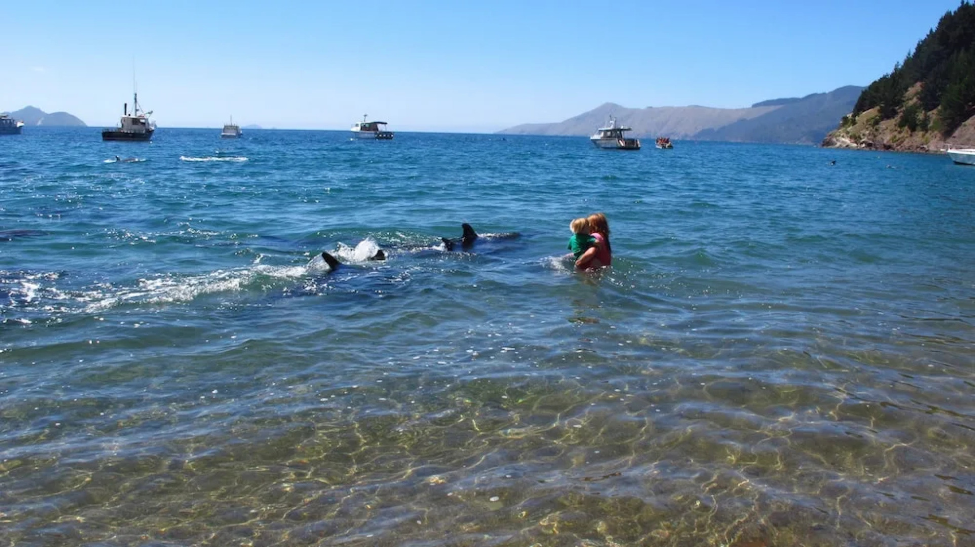 French Pass Beachfront Villas