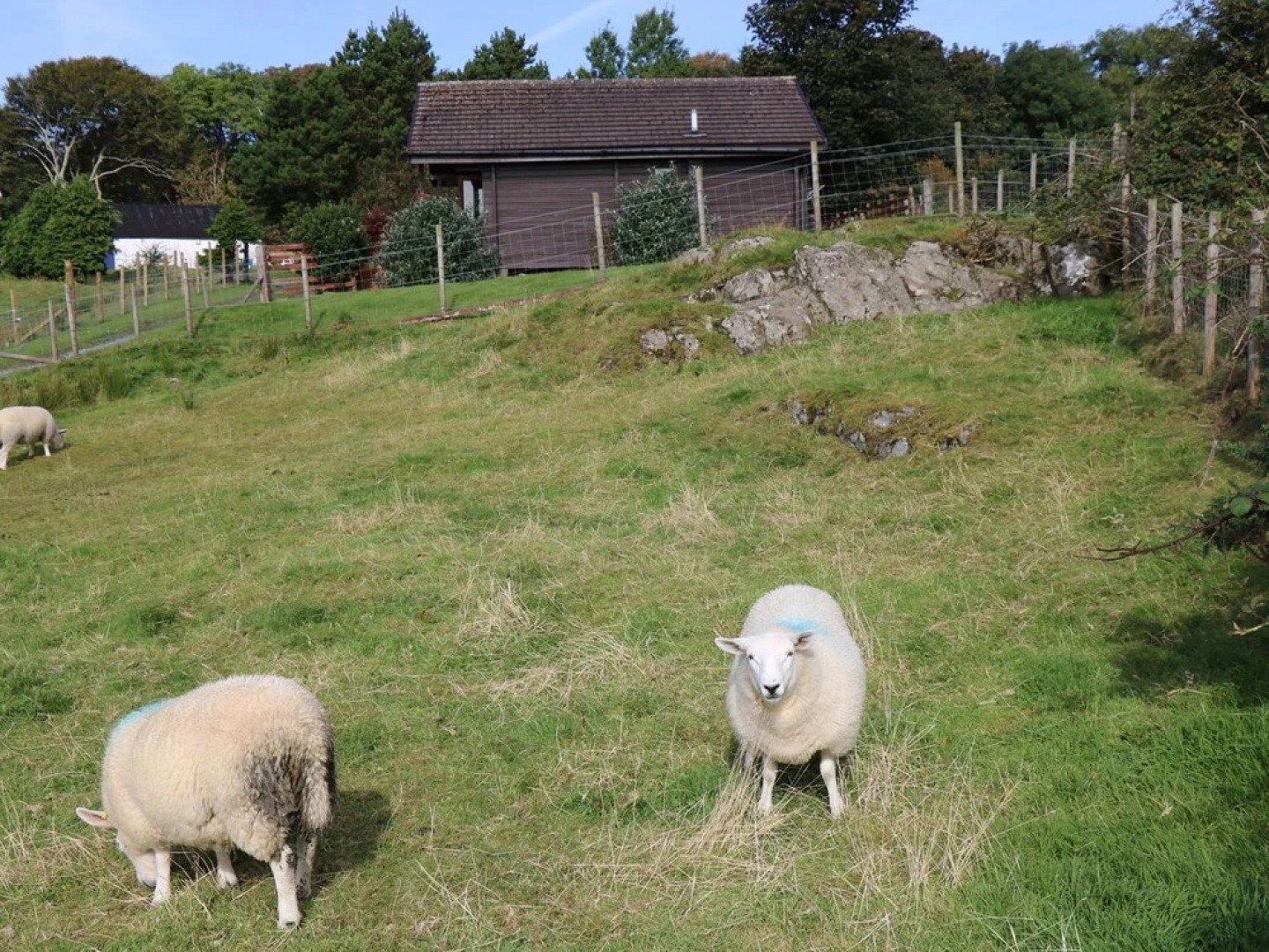 The Chalet at Ben Hiant