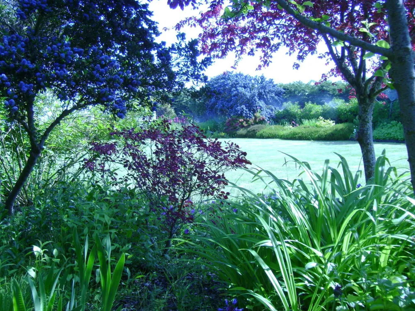 Sea Cliff Gardens Bed & Breakfast