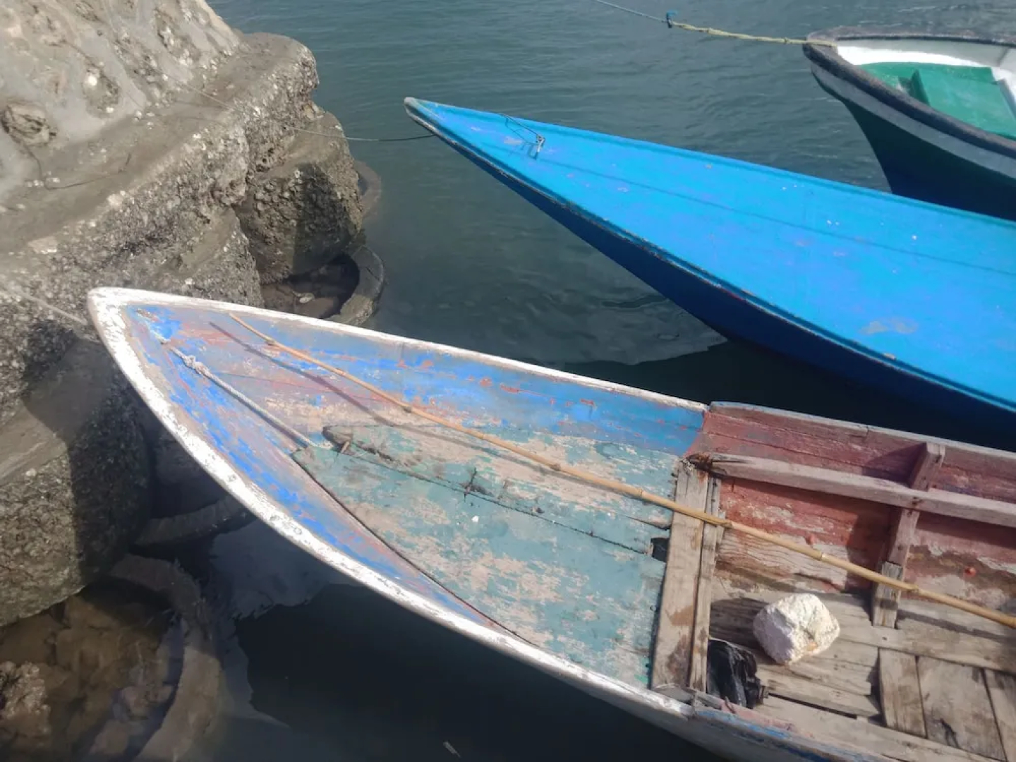 Hoga Island Dive Resort Wakatobi