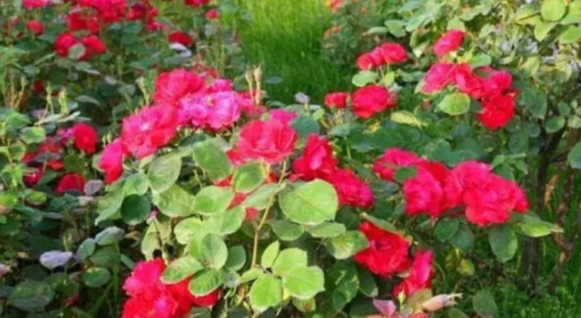 Zhangjiajie Zhongtian International Hostel