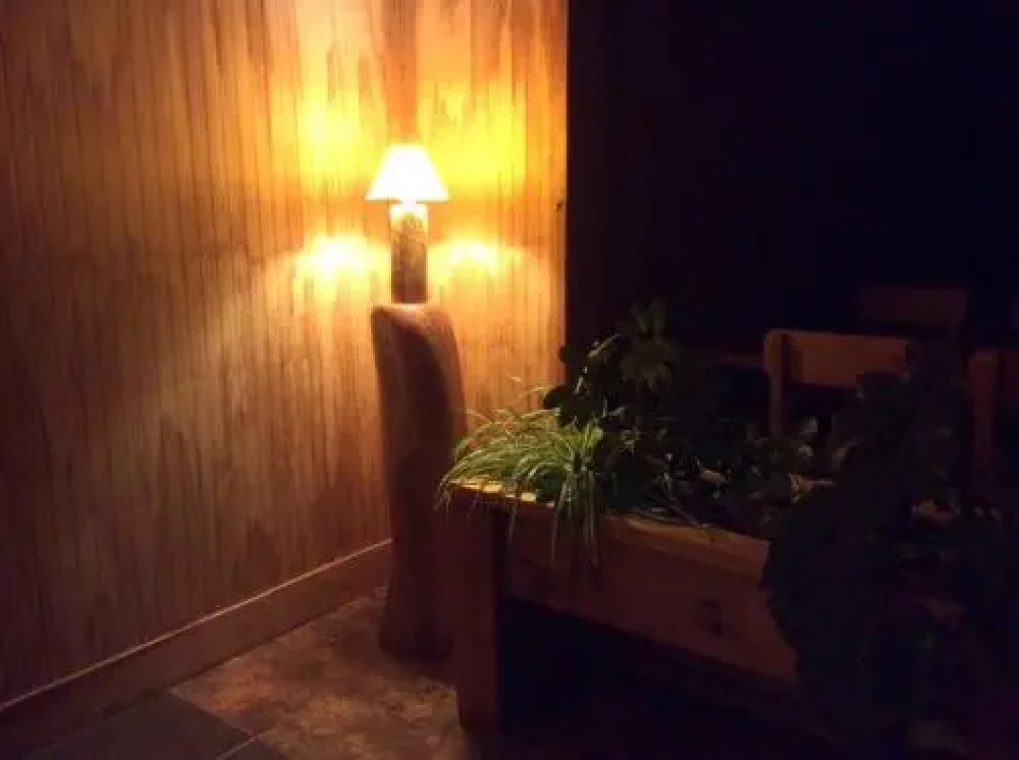 Los Mañíos Del Queulat