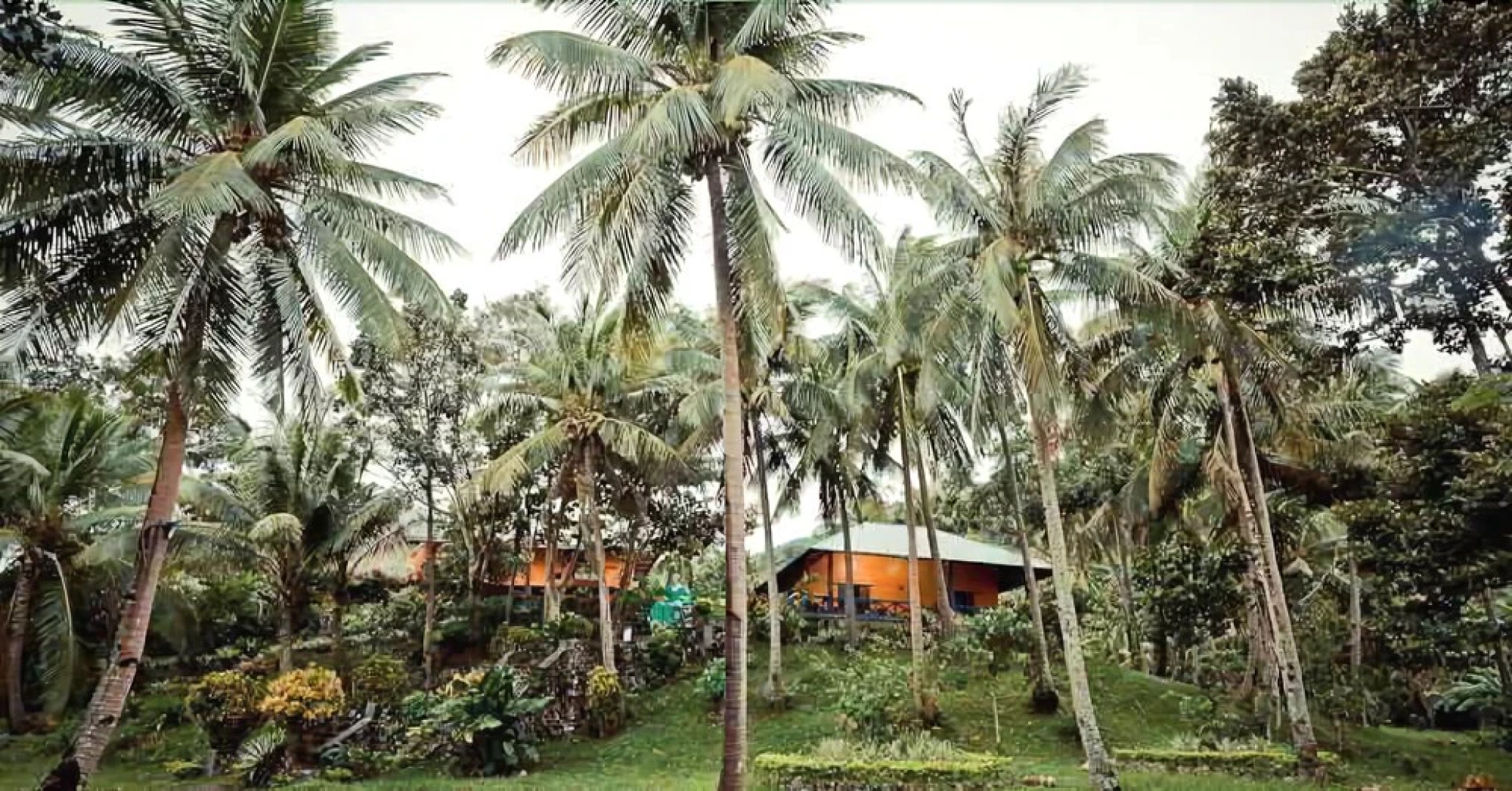 Pannzian Beach Resort