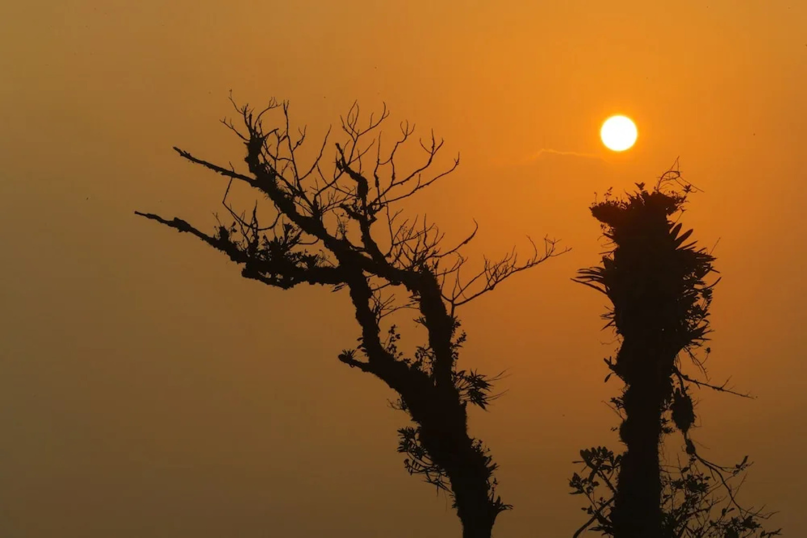 Mirador San Gerardo Lodge