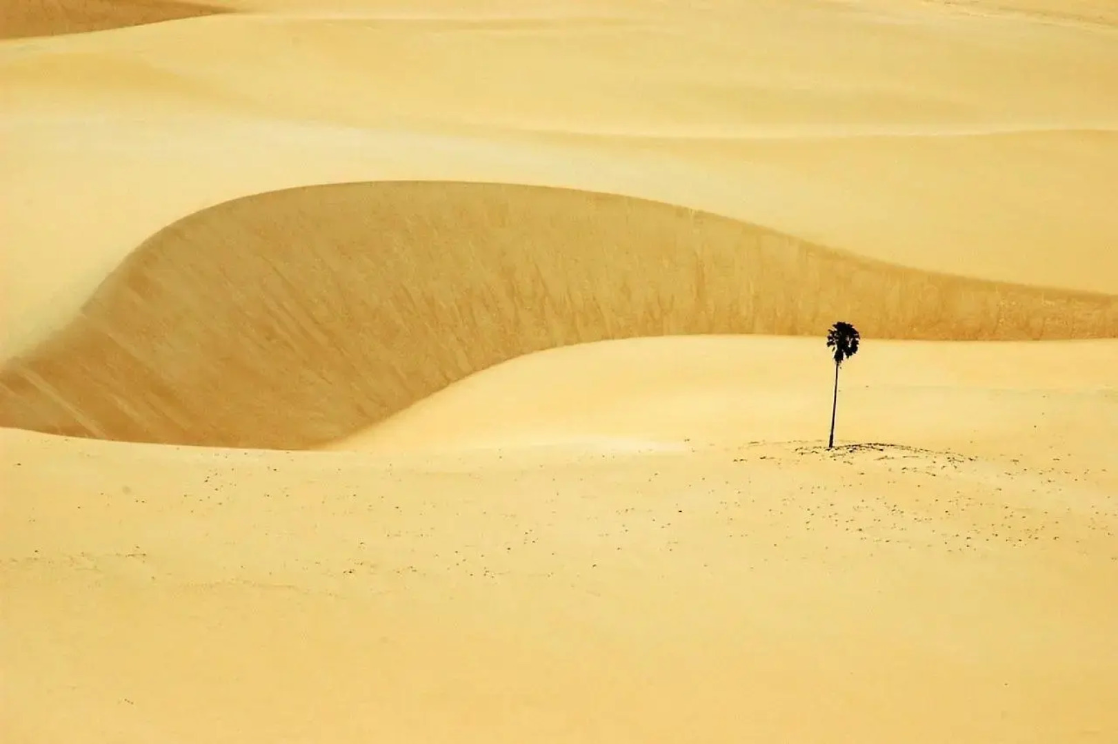 Pousada Tranquilândia Village
