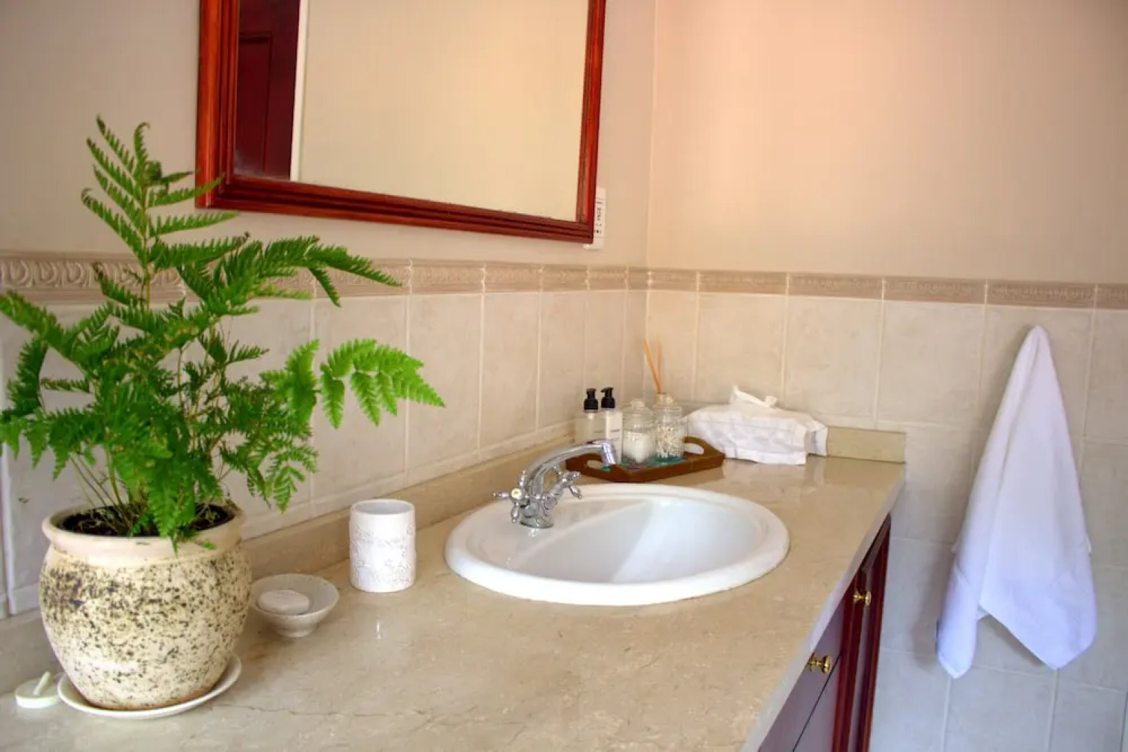 Wild Olive Executive Suite