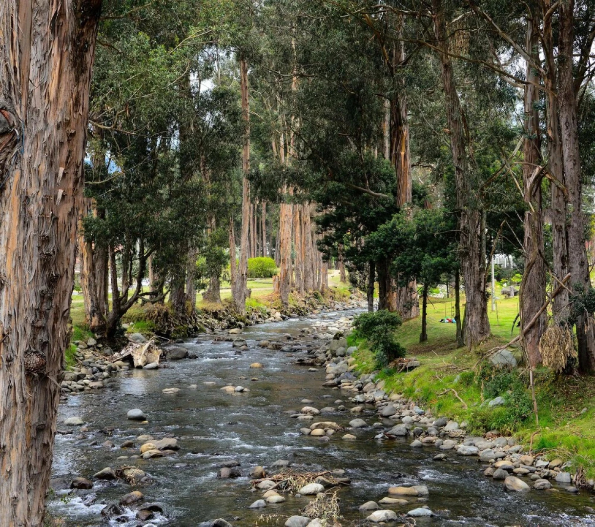 Rio Vista Apartment 4