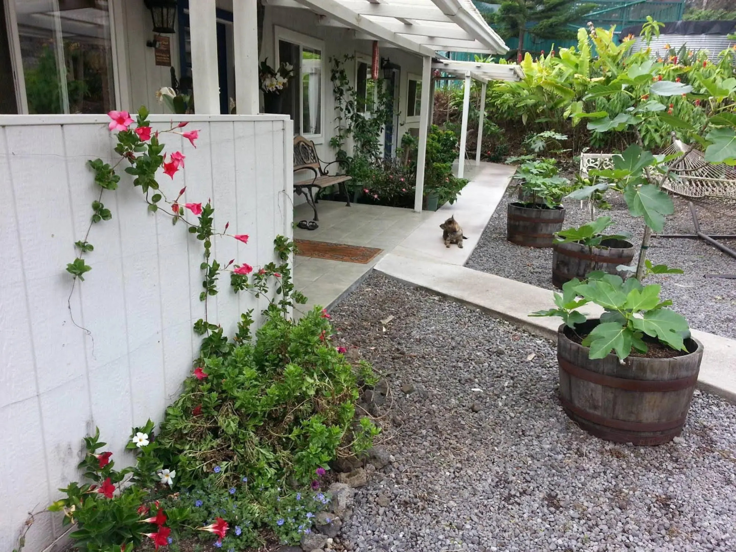 Mango Sunset Bed and Breakfast