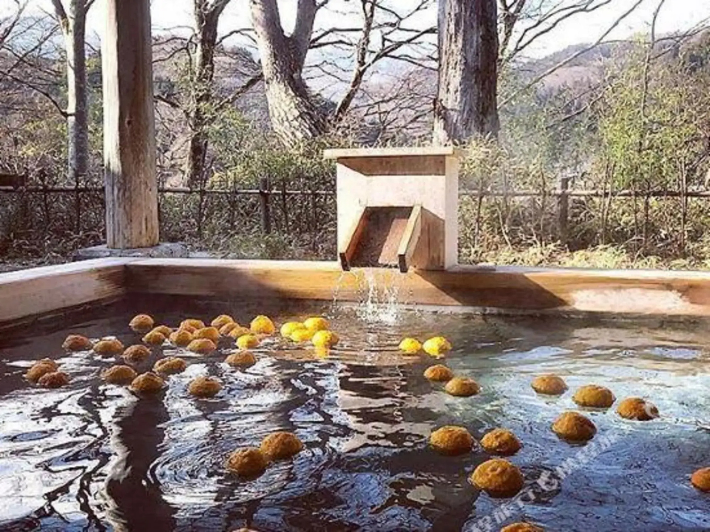 Hot Water / Vacation Stay 24467