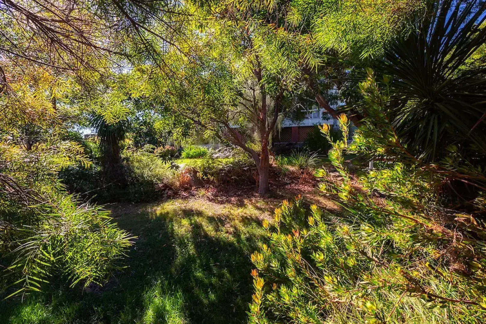 Cockatoo Cabin