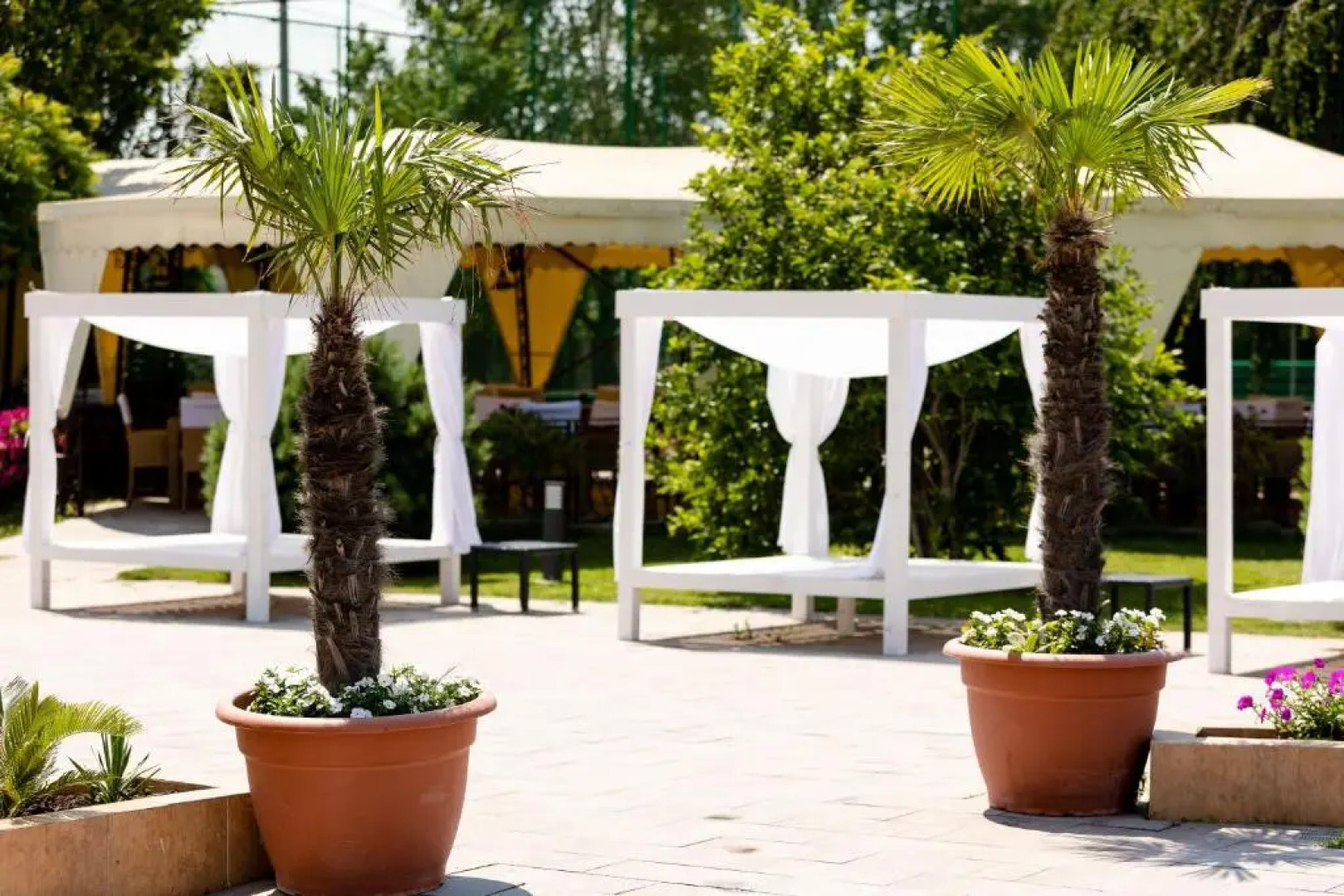 Terra Clinique Hotel